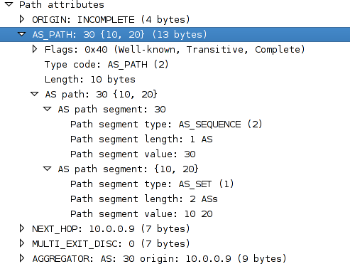 wireshark_path_attributes.png